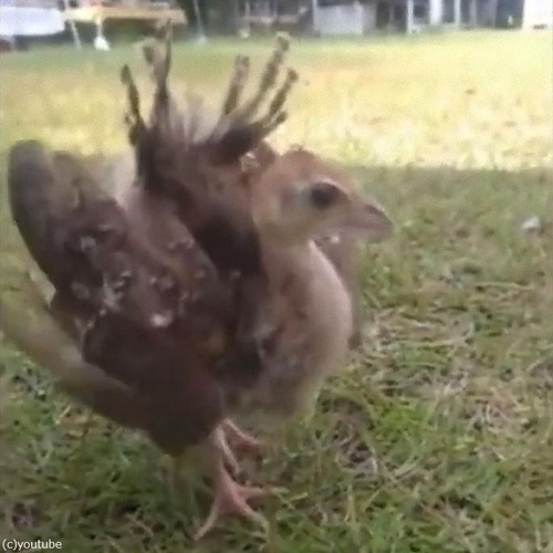 �������֤����02