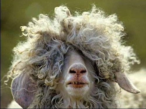 卒業写真が送られてきた02