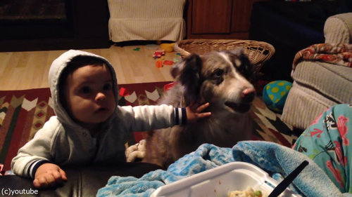 隣の犬「ママー」赤ちゃん「えっ」05