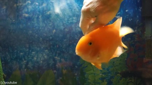 �ʤĤä�����01