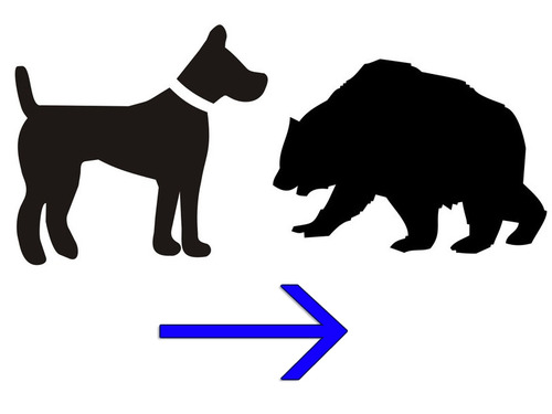 犬をクマにする方法00