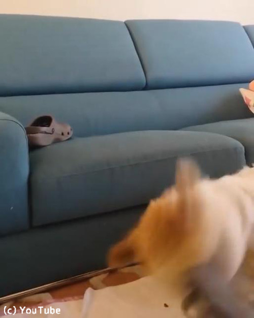 ����ѥ����󥳤Τ褦��ͷ�֤Τ�02