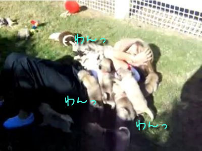 �Ҹ��η���˽��������