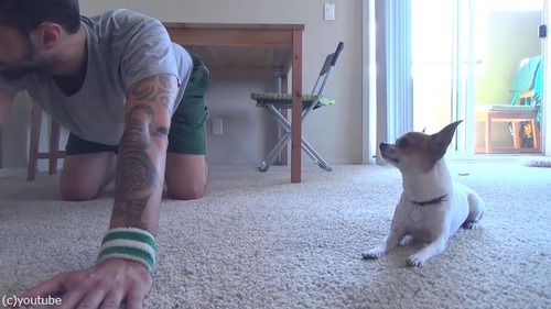 �����Ȱ��˥襬04