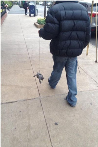 ツッコミどころに困る08