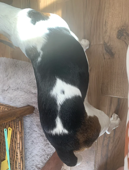 ���̡��ԡ��Ρإ��åɥ��ȥå��٤ߤ��������ͤΤ���ǭ01