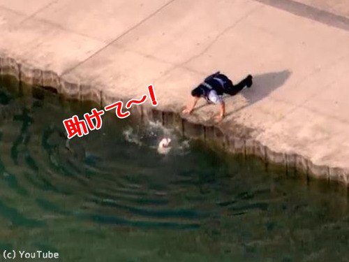 �ٴ�������߽�00