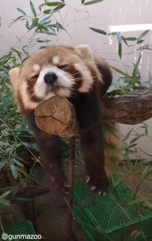 �������������ʤ���å����ѥ��04