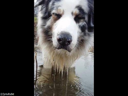 ֿʹ֤ξФˤϤ³ʤ04