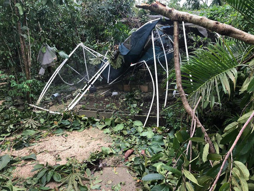 ハリケーンで300匹の犬を自宅で保護08