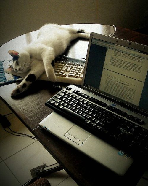 �����ܡ���ǭ01