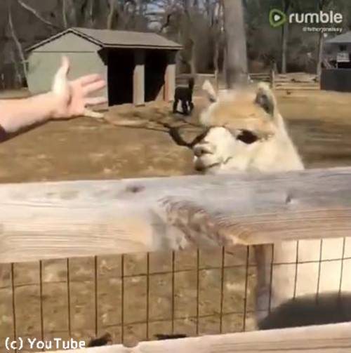 ����ѥ��Ҿ���٤˽���Ǥ���ȡĤ���ʤ������Ȥ�����02