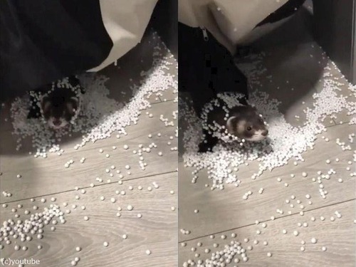 �������餷���ե���å�01