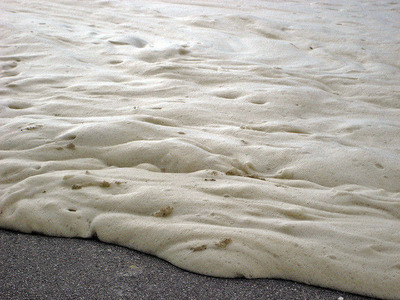 カプチーノ海12