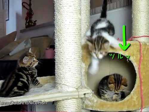 ǭ����ؤ֡����Ȥ��ƤΤդ�ޤ�05