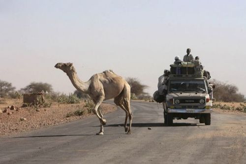 ƻϩ���Ϥ�ưʪ18