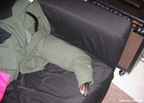 隠れるのが下手な犬たち21