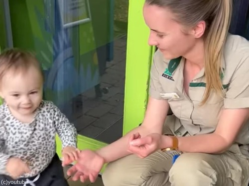 小さな女の子が可愛さを利用して動物園に戻る