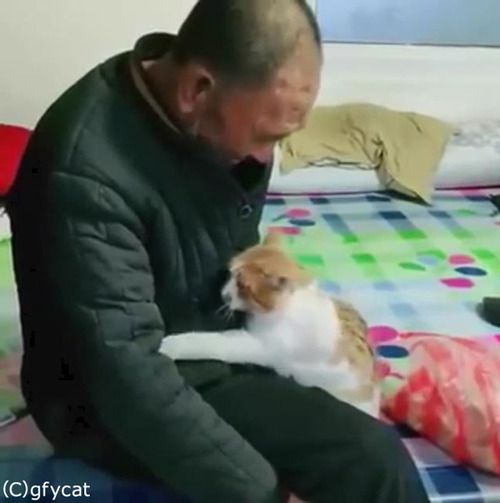 ǭ�Ȥ���������󡢤ȤäƤ����ɤ�04