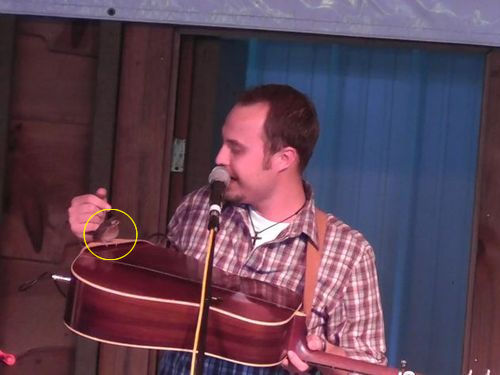 演奏中のギターに小鳥