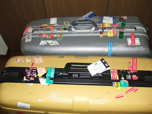 スーツケース猫00