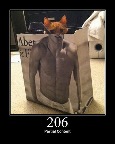 猫でHTTPステータスコード03