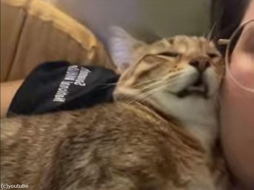 飼い主の顔にもたれかかって眠る猫「脱力しすぎ…」（動画）