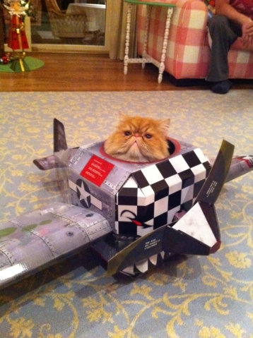 猫のために作ったもの07