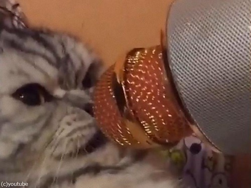 ���饪���ޥ������ܤä�ǭ03