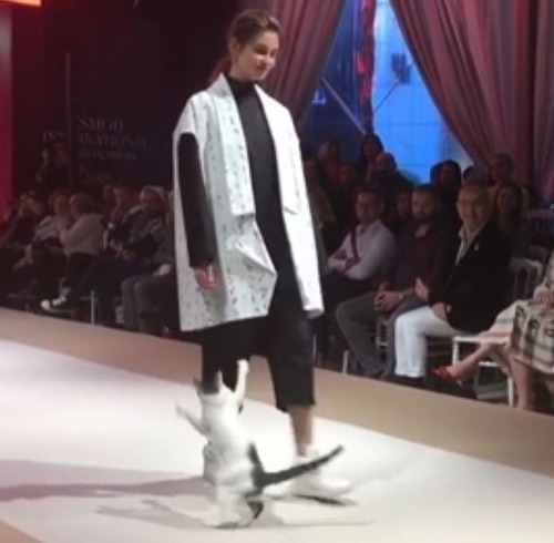 ����åȥ�������03