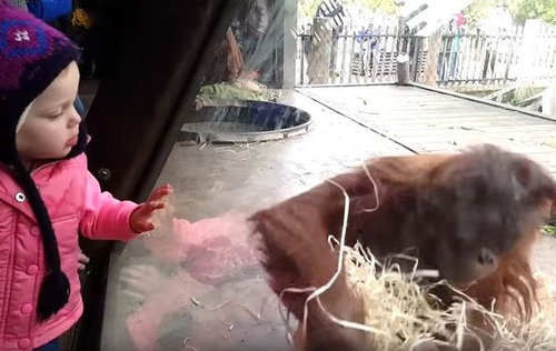 �֥쥤�����󥹤��륪��󥦡�����04