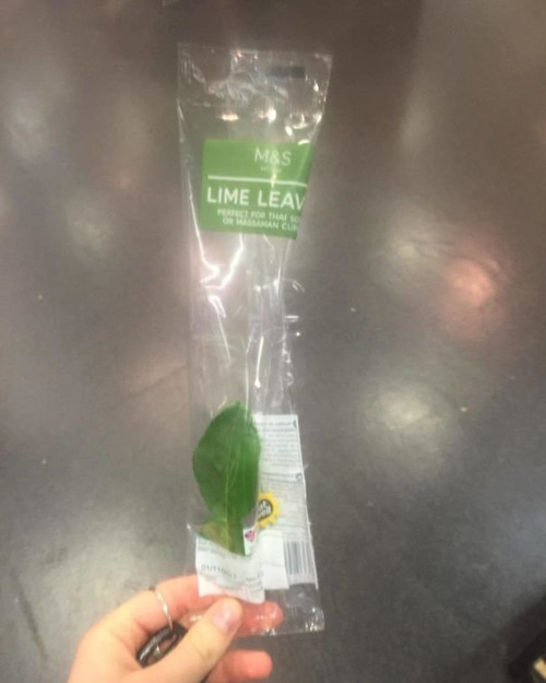 ��̯�ʥѥå�����12