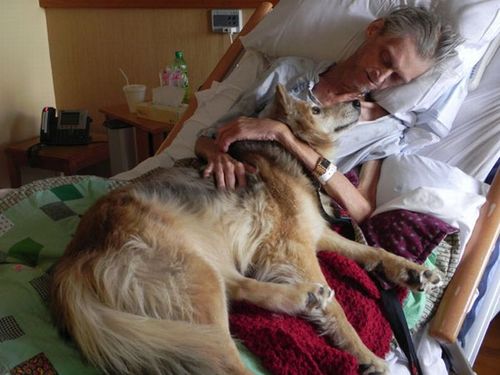 最後は愛犬と02