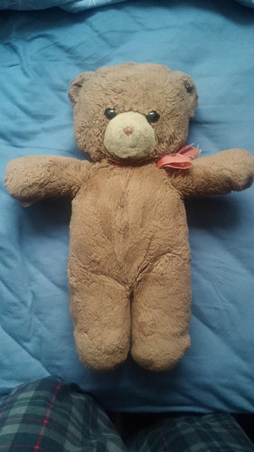 テディベア比較02