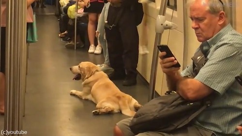 ���������ϲ�Ŵ�ǥ��å���03