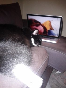 ���ȥ�������05