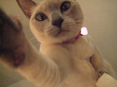 �ɥ��ξ��ǭ03