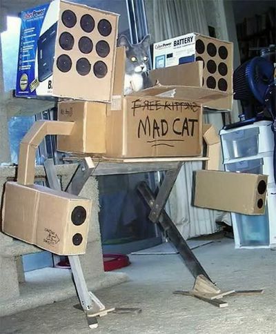 猫に戦車04
