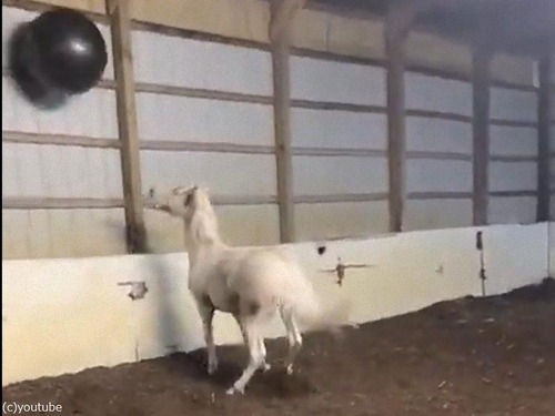 �Ϥȥ������������ܡ���05