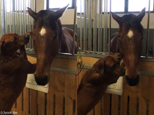 �µ����Ϥ�ʤ�����븤01