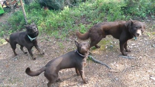 ���Ԥơפ����٤��ä��ۤɹ⤤��03