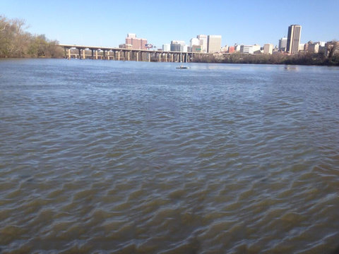 とても写真写りのいい魚05