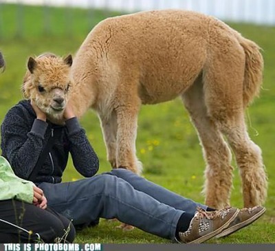 ���ä���ʼ̿�04