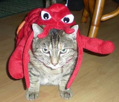 おいしそうなペット04