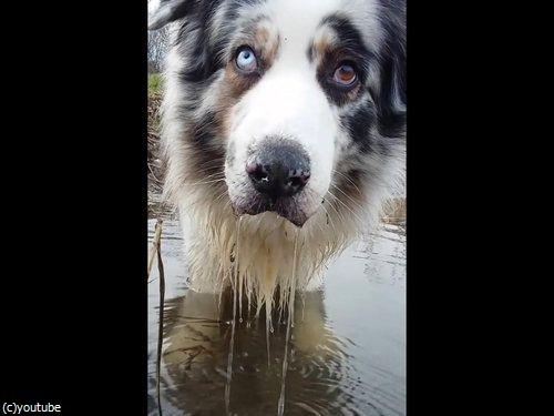 ֿʹ֤ξФˤϤ³ʤ03