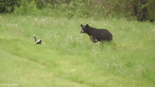 ������̿�Υ����󥯤����ޤ���ह��ִ�02