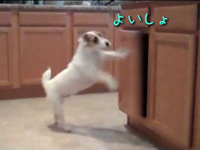 �Ȼ����äƤ���븤