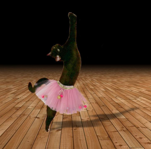 ��ˤΥ��ȥ�å�ǭ12