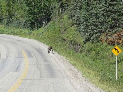 アラスカ・ハイウェイ10