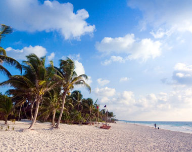 魅惑な世界のレストラン01